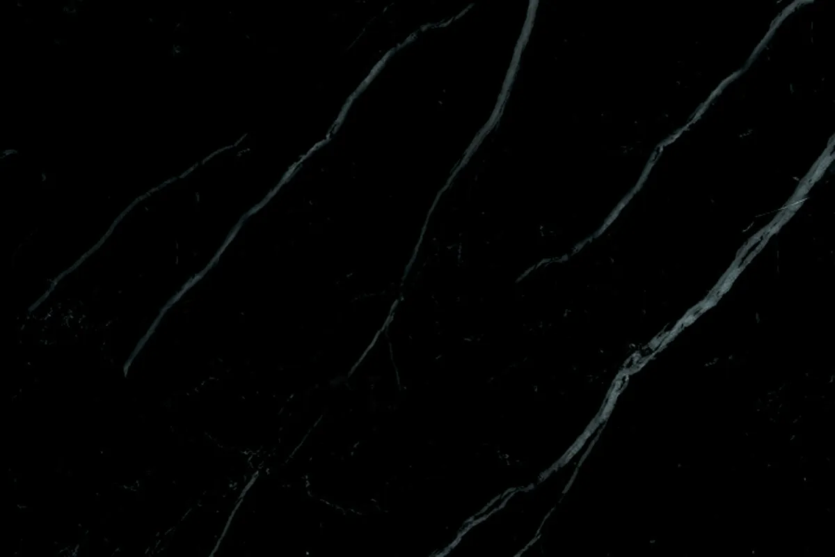 Marmo Nero Marquina: guida completa