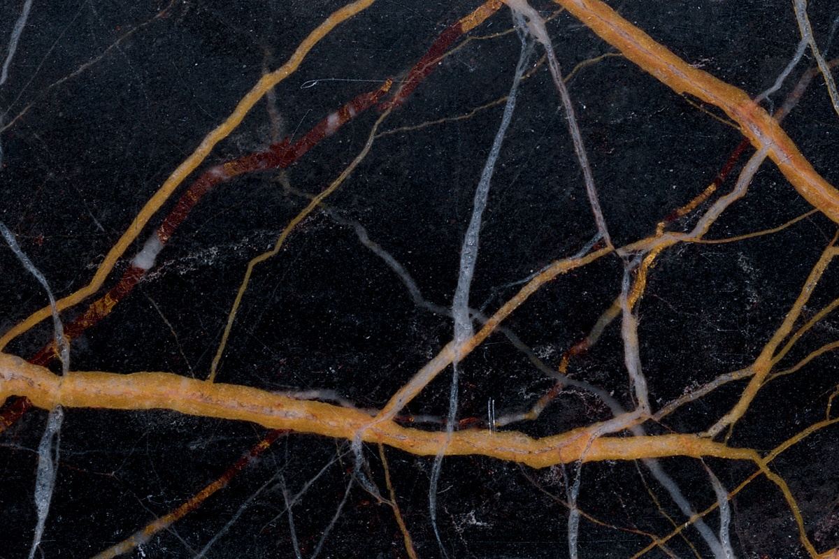 黑金花（Black and Gold）：完整指南